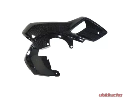 Ilmberger Airtube right Upper Watercooler Cover Carbon - BMW R1200 GS LC 2013-2016 - WKR.025.GS12L.K