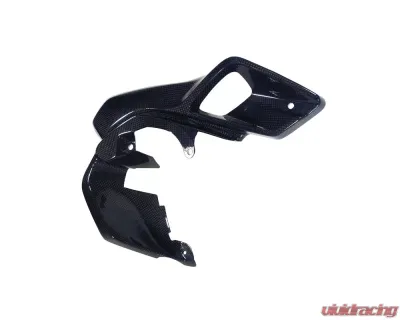 Ilmberger Airtube right Upper Watercooler Cover Carbon - BMW R1200 GS LC 2013-2016 - WKR.025.GS12L.K