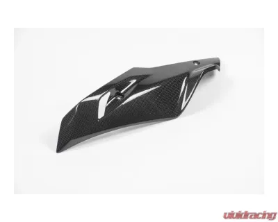 Ilmberger Bellypan Left Side Carbon - BMW R1200 R/RS LC 2015+ - MSL.014.R12RL.K