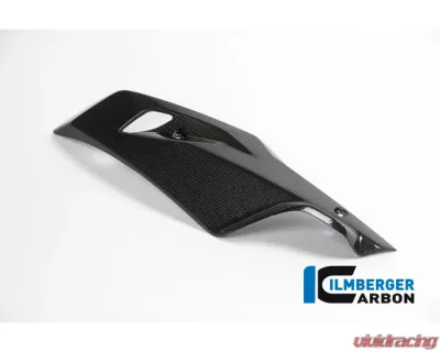 Ilmberger Bellypan Left Side Carbon - BMW R1200 R/RS LC 2015+ - MSL.014.R12RL.K