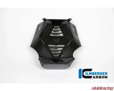 Ilmberger Bellypan Central Part Carbon - BMW R1200 R/RS LC 2015+ - MSM.015.R12RL.K