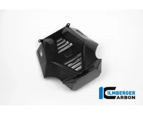 Ilmberger Bellypan Central Part Carbon - BMW R1200 R/RS LC 2015+