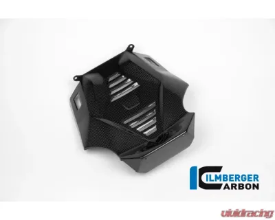 Ilmberger Bellypan Central Part Carbon - BMW R1200 R/RS LC 2015+ - MSM.015.R12RL.K