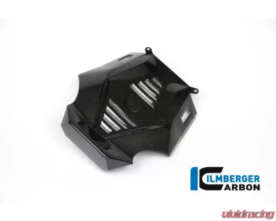 Ilmberger Bellypan Central Part Carbon - BMW R1200 R/RS LC 2015+ - MSM.015.R12RL.K