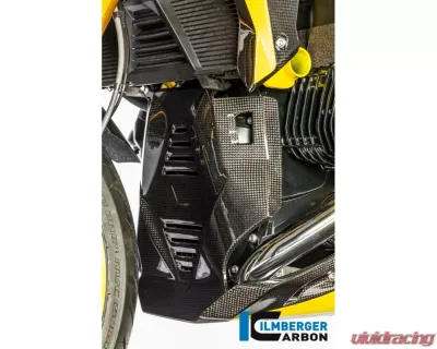 Ilmberger Bellypan Central Part Carbon - BMW R1200 R/RS LC 2015+ - MSM.015.R12RL.K