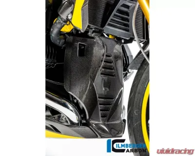 Ilmberger Bellypan Central Part Carbon - BMW R1200 R/RS LC 2015+ - MSM.015.R12RL.K