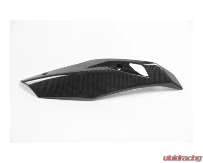 Ilmberger Bellypan Right Side Carbon - BMW R1200 R/RS LC 2015+ - MSR.013.R12RL.K