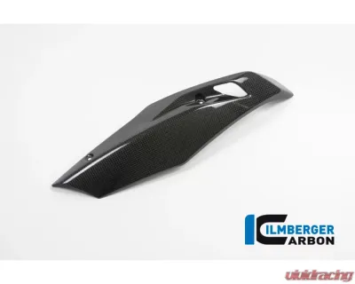 Ilmberger Bellypan Right Side Carbon - BMW R1200 R/RS LC 2015+ - MSR.013.R12RL.K