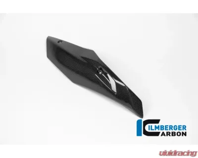 Ilmberger Bellypan Right Side Carbon - BMW R1200 R/RS LC 2015+ - MSR.013.R12RL.K