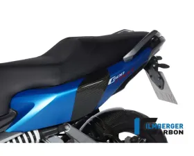 Ilmberger Back Crashpad - BMW C 600 Sport 2012+