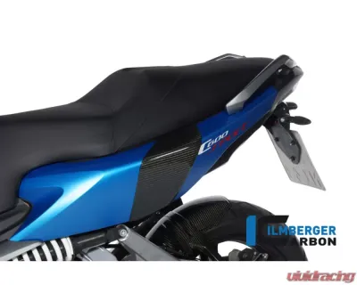 Ilmberger Back Crashpad - BMW C 600 Sport 2012+ - SPH.005.C600S.K