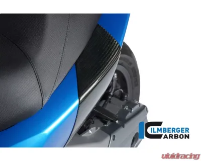 Ilmberger Back Crashpad - BMW C 600 Sport 2012+ - SPH.005.C600S.K