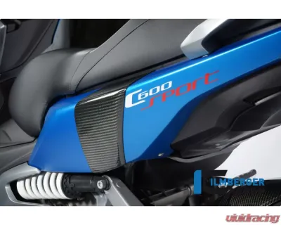 Ilmberger Back Crashpad - BMW C 600 Sport 2012+ - SPH.005.C600S.K