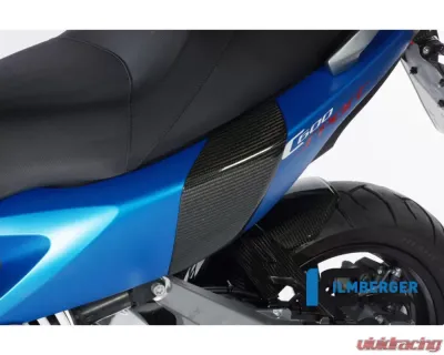 Ilmberger Back Crashpad - BMW C 600 Sport 2012+ - SPH.005.C600S.K