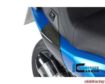 Ilmberger Back Crashpad - BMW C 600 Sport 2012+ - SPH.005.C600S.K