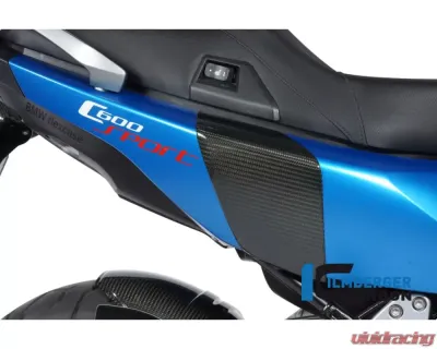 Ilmberger Back Crashpad - BMW C 600 Sport 2012+ - SPH.005.C600S.K