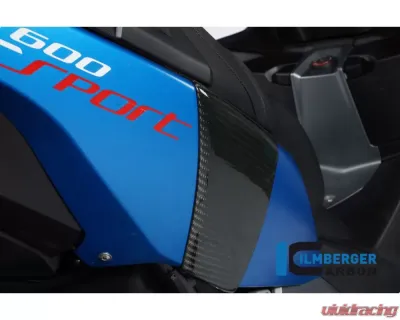 Ilmberger Back Crashpad - BMW C 600 Sport 2012+ - SPH.005.C600S.K