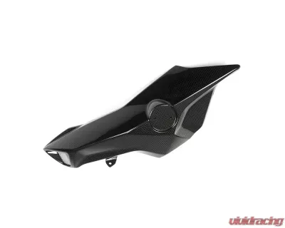 Ilmberger Airtube Cover Left Side - BMW F 800 R 2015+ - ASL.102.F8R15.K