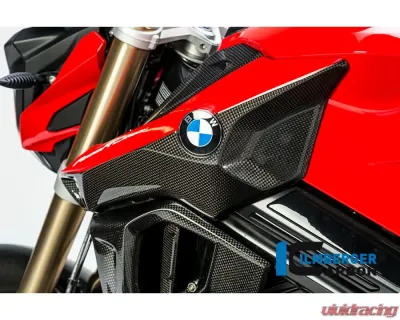 Ilmberger Airtube Cover Left Side - BMW F 800 R 2015+ - ASL.102.F8R15.K