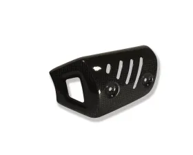 Ilmberger Front Silencer Protector Carbon - BMW F 800 R 2009-2014