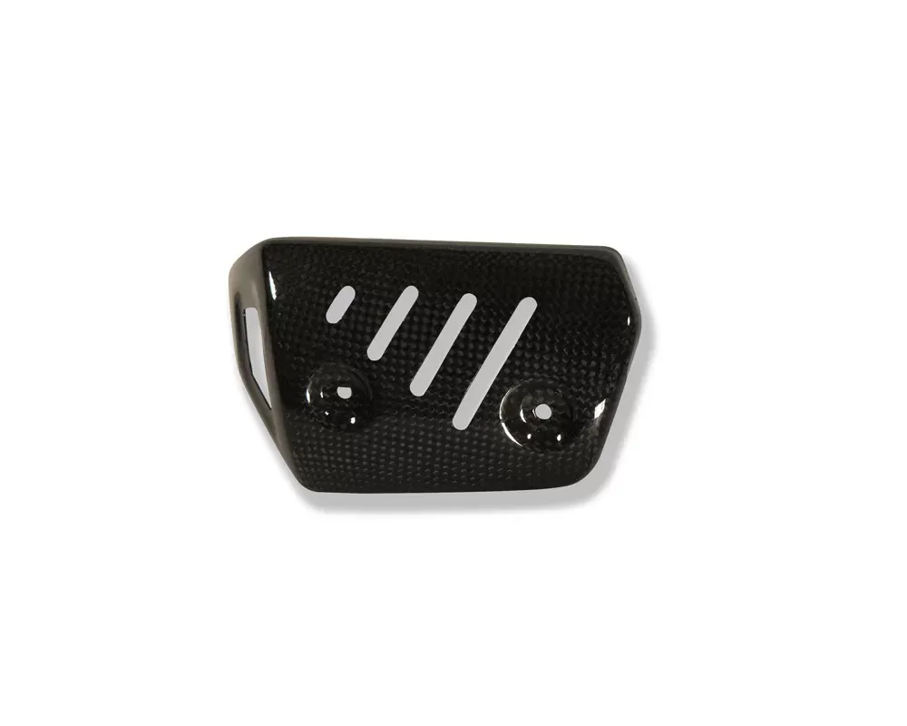 Ilmberger Silencer Protector Set Carbon - BMW F 800 GT 2012+ - AHS.001.F80GT.K