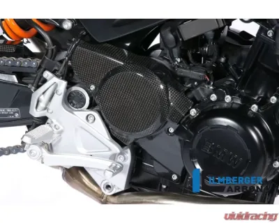 Ilmberger Cam Belt Cover Carbon - BMW F 800 R 2009-2014 / S 2006+ / ST 2006+ / GT 2012+ - RIO.004.F800S.K