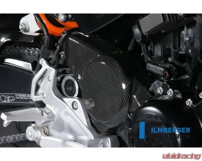 Ilmberger Cam Belt Cover Carbon - BMW F 800 R 2009-2014 / S 2006+ / ST 2006+ / GT 2012+ - RIO.004.F800S.K