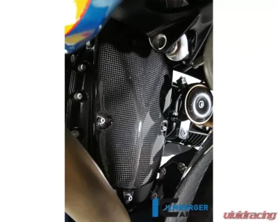 Ilmberger Alternator Cover Carbon - BMW HP2 | R1200 | R nine T - LMD.003.R120S.K