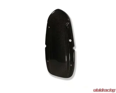 Ilmberger Alternator Cover Carbon - BMW R 1100 GS / R 1150 GS / R 1100 S / R 1150 R - LMD.004.R1100.K