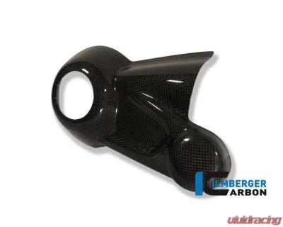 Ilmberger Bevel Drive Housing Protector - BMW R1200 | HP2 | R nine T - KGA.001.120BO.K