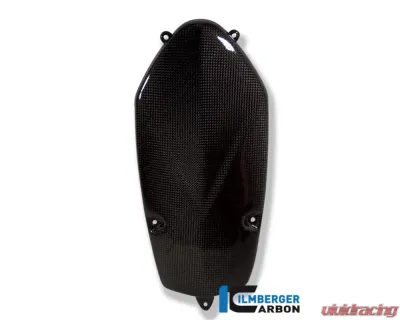 Ilmberger Alternator Cover Carbon - BMW HP2 | R1200 | R nine T - LMD.003.R120S.K