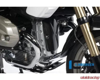 Ilmberger Alternator Cover Carbon - BMW R1200 GS 2004-2012 - 8160964