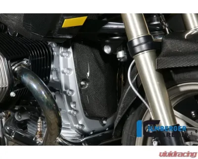 Ilmberger Alternator Cover Carbon - BMW R1200 GS 2004-2012 - 8160964