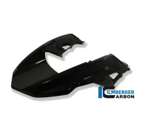 Ilmberger Front Beak Carbon - BMW R1200 GS 2008-2012