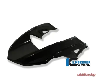 Ilmberger Front Beak Carbon - BMW R1200 GS 2008-2012 - SVO.067.120GS.K