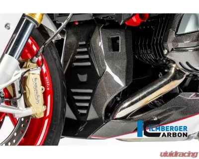Ilmberger Bellypan Central Part Carbon - BMW R1200 R/RS LC 2015+ - MSM.015.R12RL.K