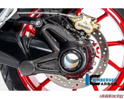 Ilmberger Bevel Drive Housing Protector Carbon - BMW R1200 GS LC | R1200 R LC | R1200 RS LC - KGA.008.GS12L.K