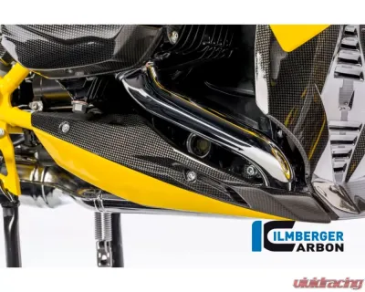 Ilmberger Bellypan Right Side Carbon - BMW R1200 R/RS LC 2015+ - MSR.013.R12RL.K