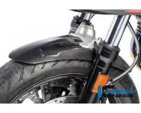 Ilmberger Front Fender BMW R nine T Racer 2017+