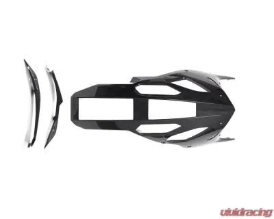 Ilmberger Bellypan Long Version BMW S1000 RR Street 2019+ - VEU.006.S119S.K