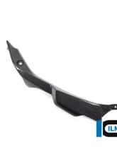 Ilmberger Bellypan Long Version BMW S1000 RR Street 2019+                                     - VEU.006.S119S.K - Image 14