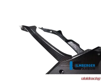 Ilmberger Bellypan Long Version BMW S1000 RR Street 2019+ - VEU.006.S119S.K