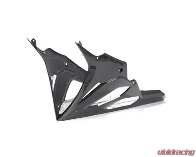 Ilmberger Bellypan Long Version BMW S1000 RR Street 2019+ - VEU.006.S119S.K