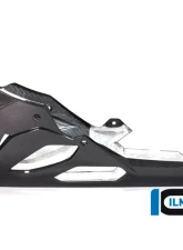 Ilmberger Bellypan Long Version BMW S1000 RR Street 2019+                                     - VEU.006.S119S.K - Image 10