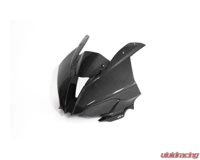 Ilmberger 1pc Front Race Fairing BMW S1000 RR Racing 2019+ - VEO.203.S1RR9.K