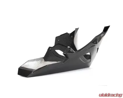 Ilmberger Bellypan BMW S1000 RR Racing 2019+ - VEU.209.S1RR9.K