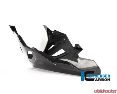 Ilmberger Bellypan BMW S1000 RR Racing 2019+ - VEU.209.S1RR9.K