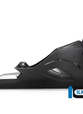 Ilmberger Bellypan BMW S1000 RR Racing 2019+                                     - VEU.209.S1RR9.K - Image 8