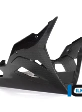 Ilmberger Bellypan BMW S1000 RR Racing 2019+                                     - VEU.209.S1RR9.K - Image 10