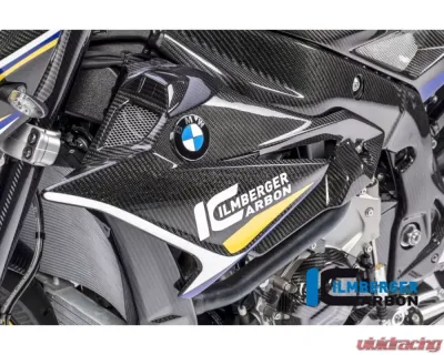 Ilmberger Fairing Side Panel Left - BMW S1000 R 2017+ - VEL.002.S117N.K